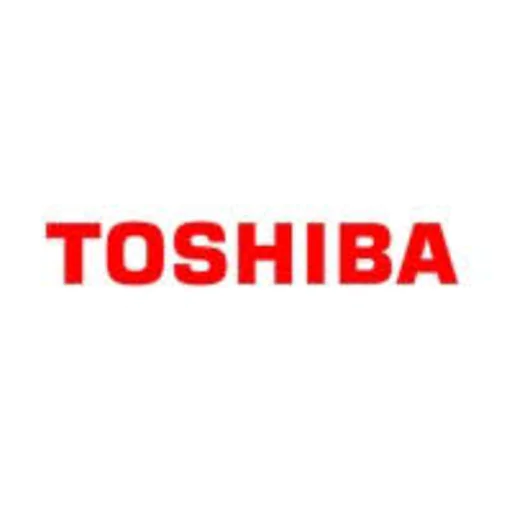 Toshiba Energy Systems (Japan)